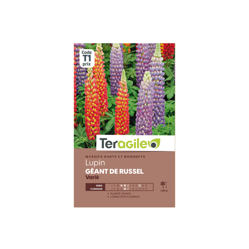 GRAINES LUPIN GÉANT DE RUSSEL VARIÉ 3G TERAGILE®