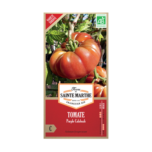 GRAINES TOMATE PURPLE CALABASH BIO