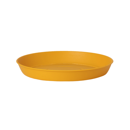 SOUCOUPE RONDE 'JOY' POETIC - ∅23CM - CURCUMA