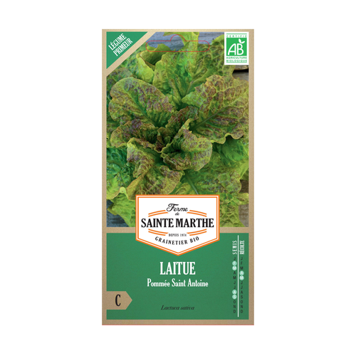 GRAINES LAITUE POMMÉE SAINT ANTOINE BIO