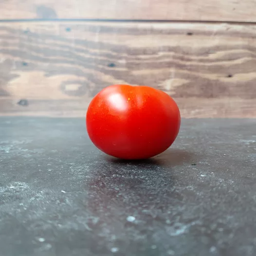 Tomate Rouge de Gand | Semences biologiques et reproductibles