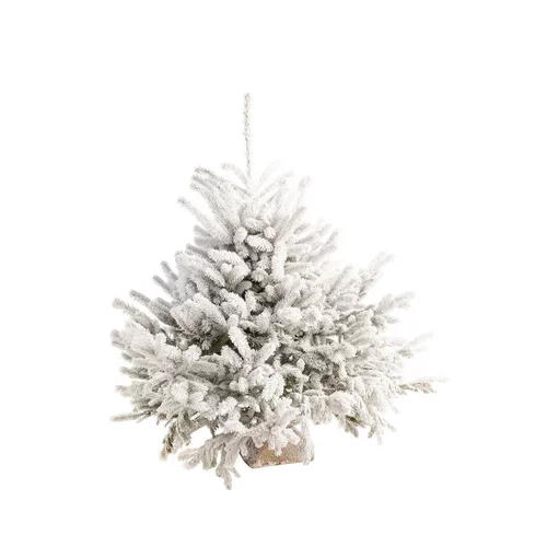 Pour compléter votre jardin：Sapin de Noël naturel blanc effet enneigé Diamant Robin® - 90 à 100 cm