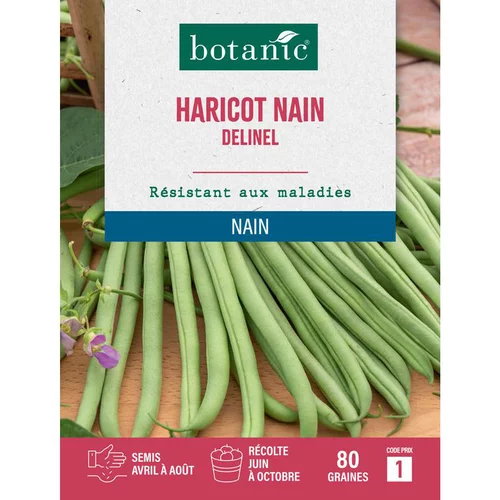 Confort extérieur：Graines de haricot nain delinel extra-fin sans fil botanic® - 80 graines à semer