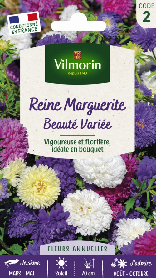 Pour tous vos besoins extérieurs：Graines de Reine Marguerite Beauté variée Vilmorin - graines à semer