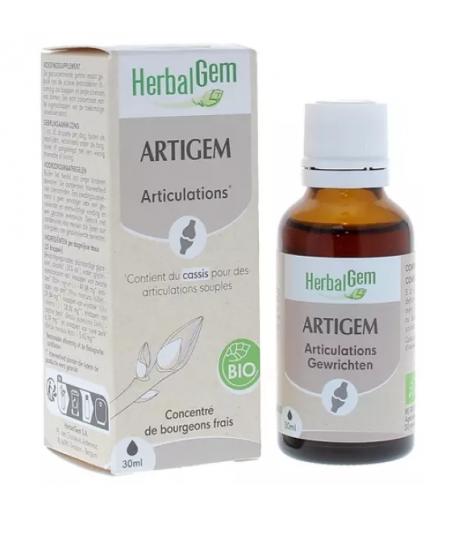Herbalgem Gemmobase - Artigem Bio Flacon compte gouttes - 30 ml
