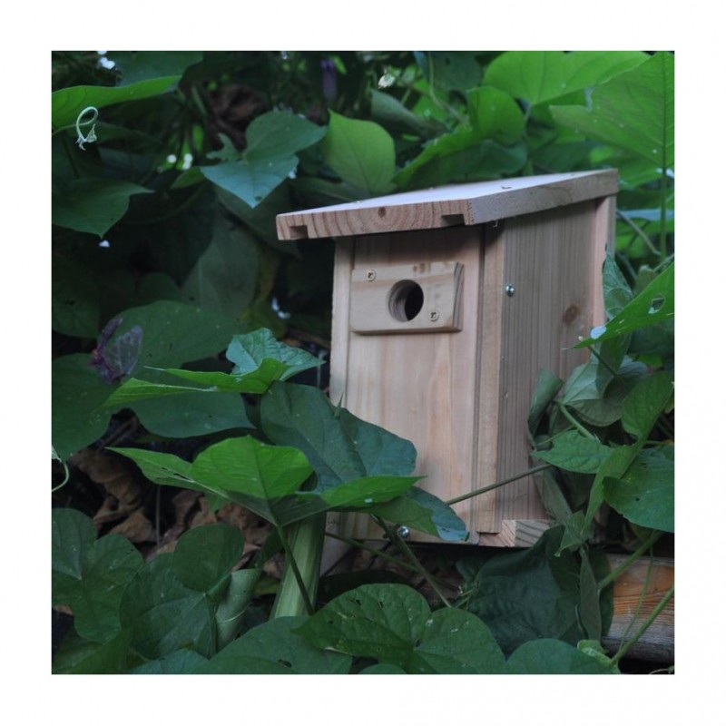 Nichoir à mésange en kit