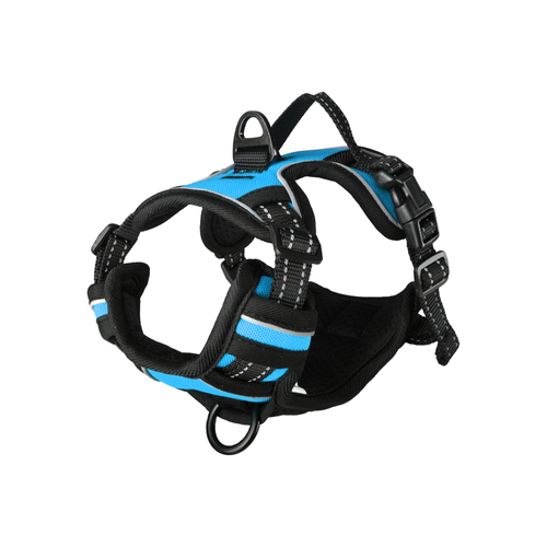 HARNAIS POUR CHIEN BALOU FLAMINGO® - BLEU - XS