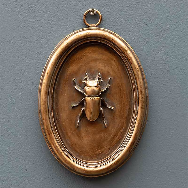 Cadre scarabée cuivré C 13 × 20cm