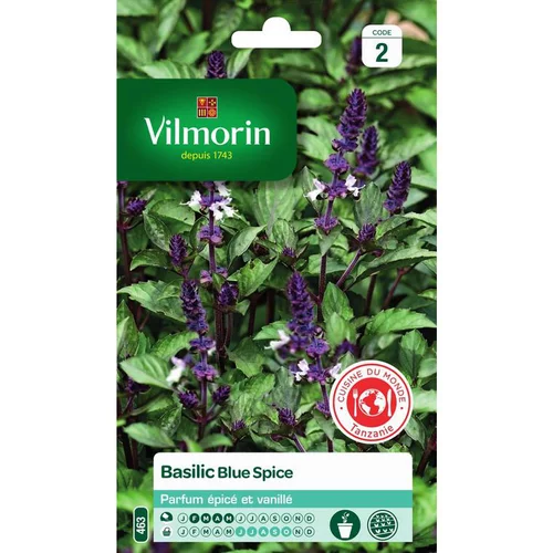 Idée extérieur：Graines de basilic blue spice Vilmorin - graines à semer