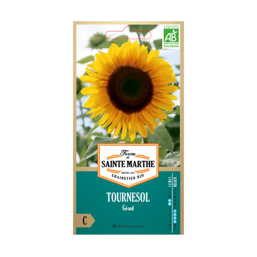GRAINES TOURNESOL GÉANT BIO