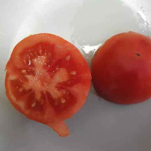 kerstomaat Rote Murmel