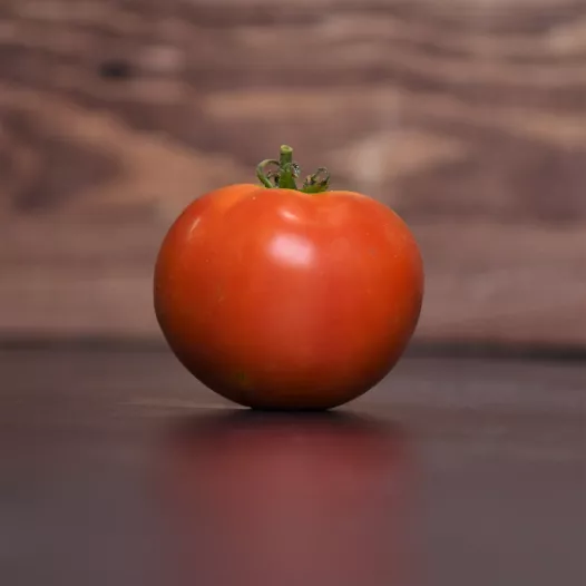 Tomate Merveille des Serres | Semences bio et reproductibles
