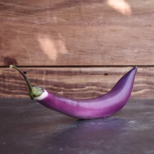 Semences bio d'Aubergine Japanese Pickling