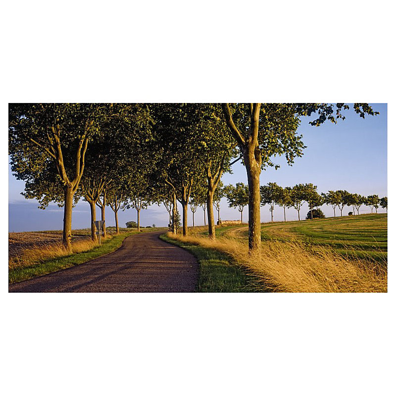 Brise vue imprimé ROUTE DANS L AUBE – H.1.5 x L.3 m, 100% occultant, Made in France par Scenolia + kit de fixation offert