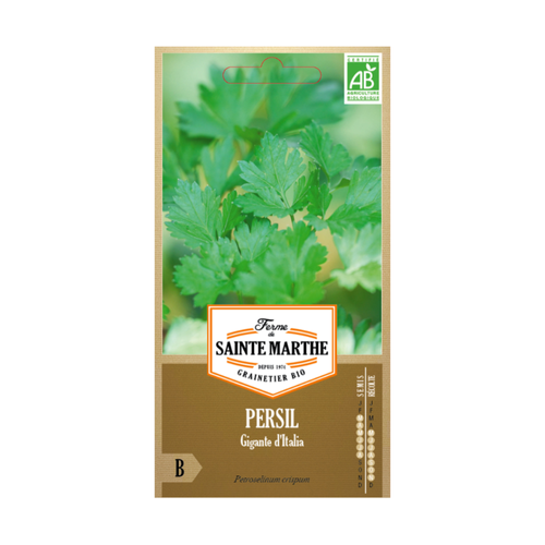 GRAINES PERSIL GIGANTE D'ITALIA BIO