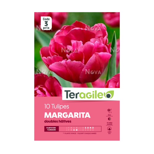 BULBES DE TULIPES 'MARGARITA' DOUBLES HÂTIVES - TERAGILE® - X10