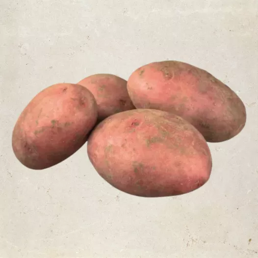 Plants bio : Pomme de terre Chérie - 5kg