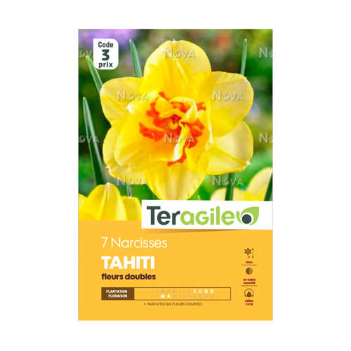 BULBES DE NARCISSES 'TAHITI' FLEURS DOUBLES - TERAGILE® - X7