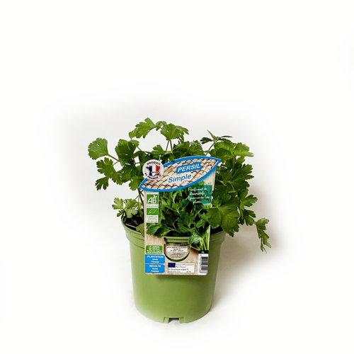 PERSIL SIMPLE BIO - POT DE 1L