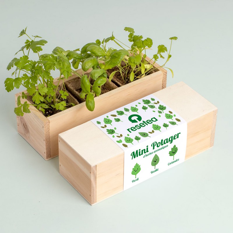 Kit mini potager légumes et herbes aromatiques - 4 variétés