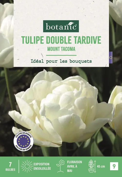 Jardin & loisirs：Bulbes de fleurs Tulipe double tardive Mount Tacoma blanc botanic® - 7 bulbes