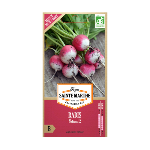 GRAINES RADIS NATIONAL 2 BIO