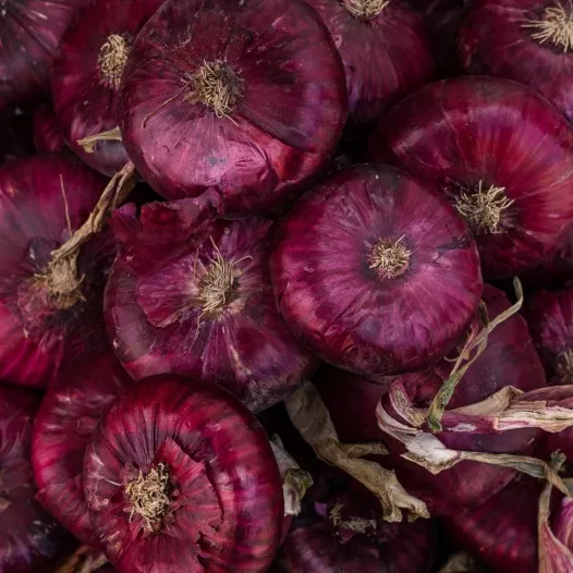 Semailles - Graines bio d'oignon rouge d'Abbeville