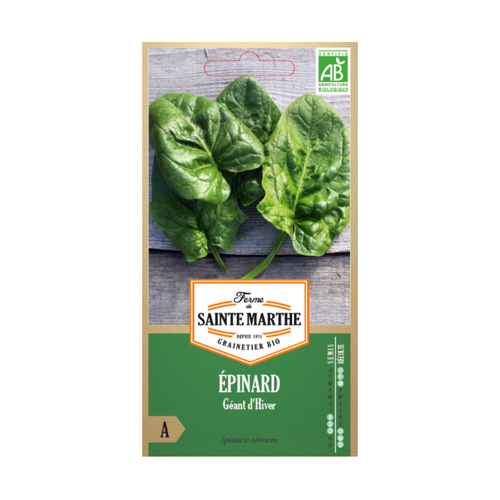 GRAINES ÉPINARD GÉANT D'HIVER BIO