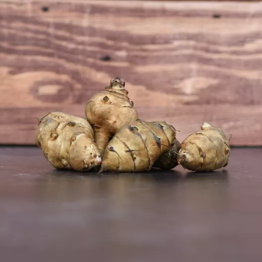 Biologische Gewone aardpeer - 10 knollen
