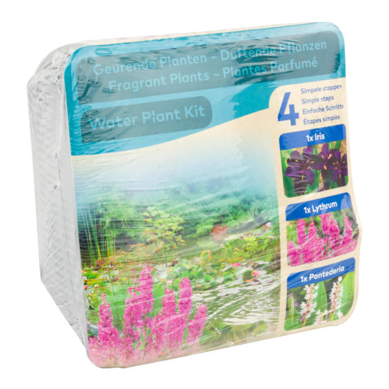 Kit de plantes d'étang - Plantes parfumées