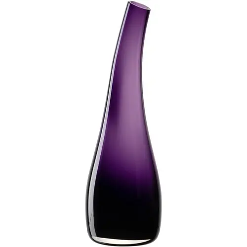Un plus pour votre jardin：Vase en verre violet Luminosa - H 25 cm