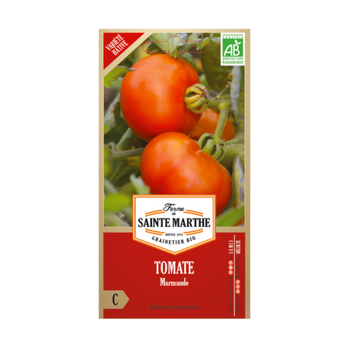 GRAINES TOMATE MARMANDE BIO