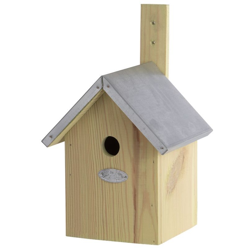 Nichoir mésange bleue - Bois pin FSC & toit zinc