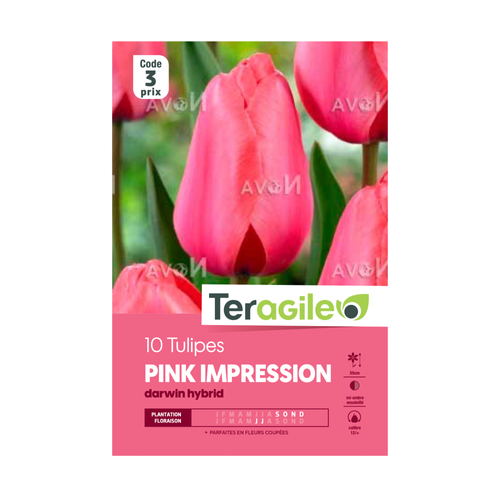 BULBES DE TULIPES 'PINK IMPRESSION' DARWIN HYBRID - TERAGILE® - X10