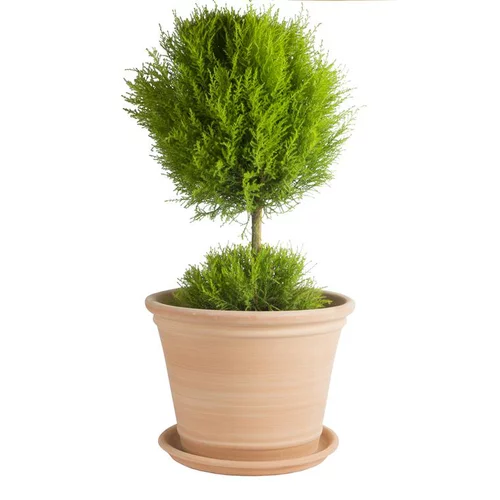 Jardin déco:Pot Cocio Terraza en terre cuite claire D53x H40
