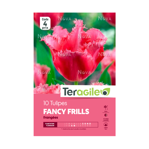 BULBES DE TULIPES 'FANCY FRILLS' FRANGÉES - TERAGILE® - X10