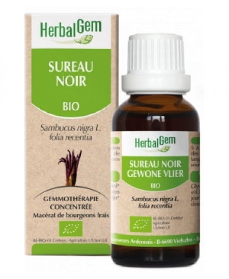 Herbalgem Gemmobase - Sureau noir Flacon compte gouttes - 50 ml