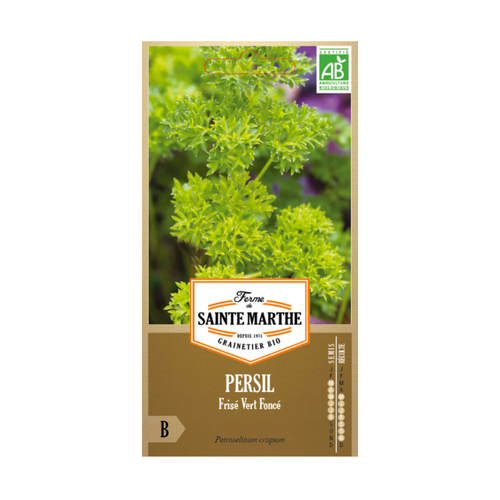GRAINES PERSIL FRISÉ VERT FONCÉ BIO