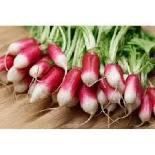 Graines bio de Radis Flamboyant 3