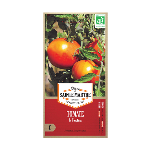 GRAINES TOMATE LA CAROTINA BIO
