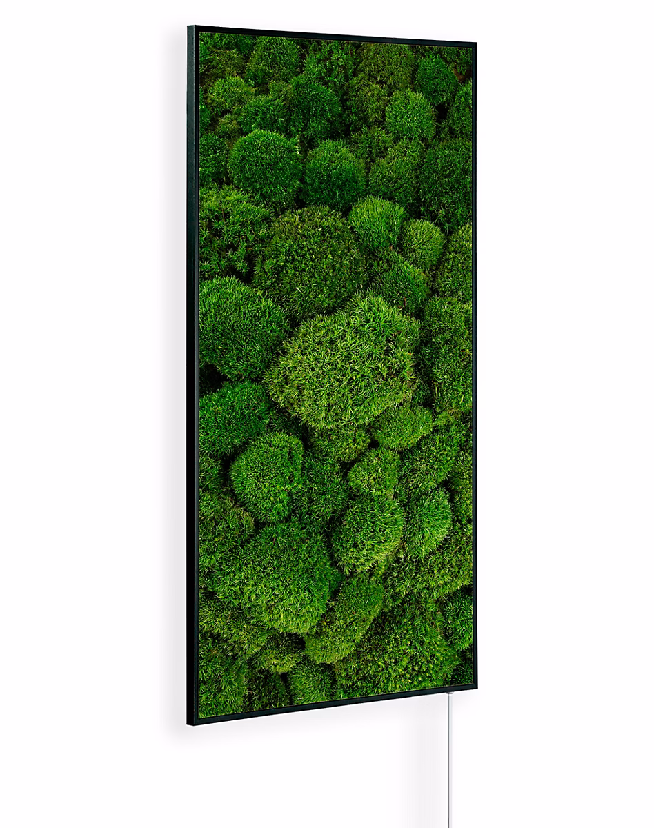 Chauffage infrarouge KönighausAmbient Edition Mousse 800 W avec thermostat – Réf. PLIAWIYGH6545884125