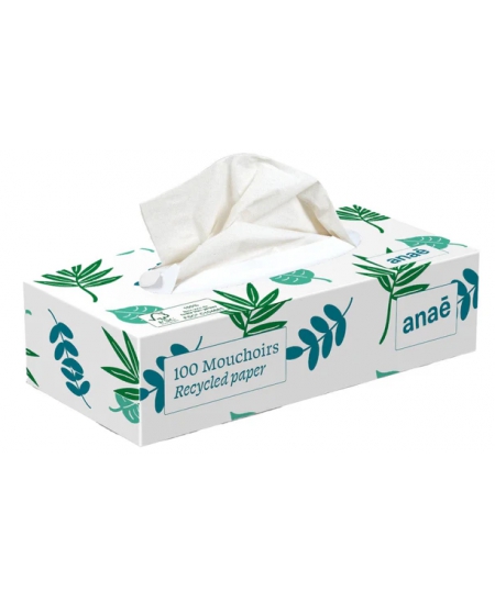 Droguerie Ecologique - Boîte de 100 mouchoirs memo, papier recyclé triple épaisseur