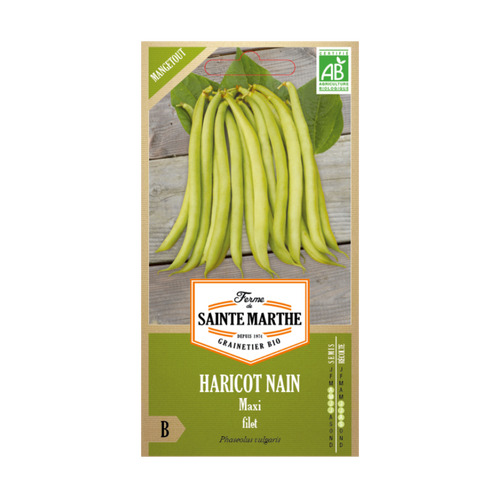 GRAINES HARICOT NAIN MAXI FILET MANGETOUT BIO - 10G