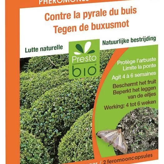 capsules à phéromones contre la pyrale du Buis