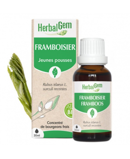 Herbalgem Gemmobase - Framboisier bio Flacon compte gouttes - 30 ml