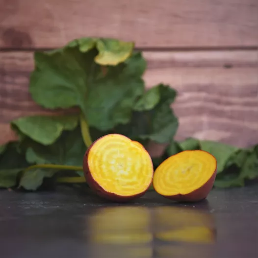 Betterave jaune Golden | Semences bio et reproductibles
