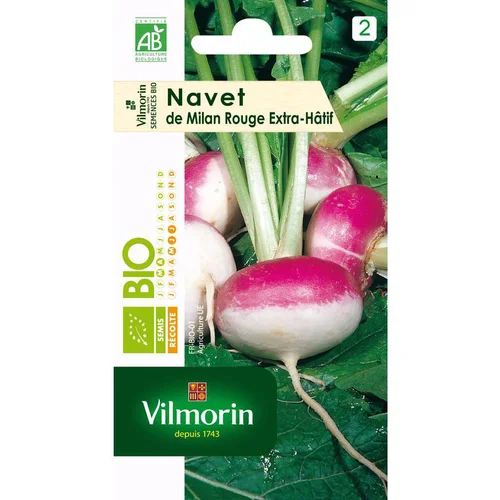 Pour vos besoins au jardin:Navet de Milan Extra-Hâtif Vilmorin - graines à semer