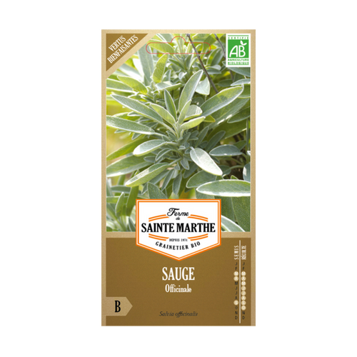 GRAINES SAUGE OFFICINALE BIO