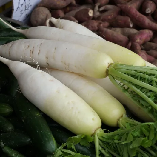Bio zaden van Radijs (Winter-) Marché de Zurich