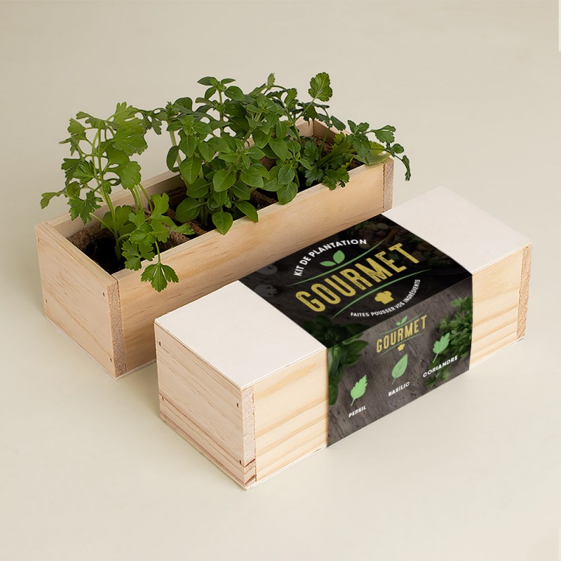 Kit culinaire d'auto culture - 11 variétés